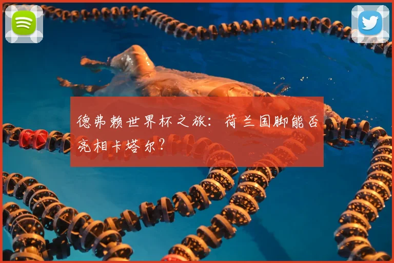 德弗赖世界杯之旅：荷兰国脚能否亮相卡塔尔？