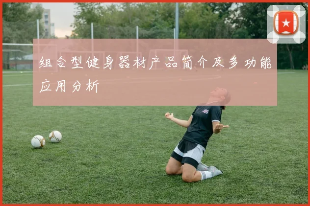组合型健身器材产品简介及多功能应用分析