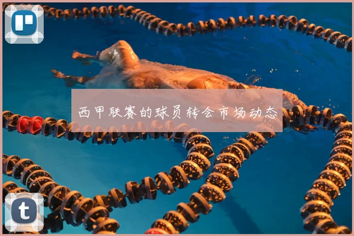 西甲联赛的球员转会市场动态