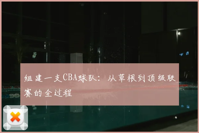 组建一支CBA球队：从草根到顶级联赛的全过程